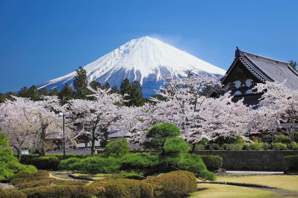 tozan.jpg